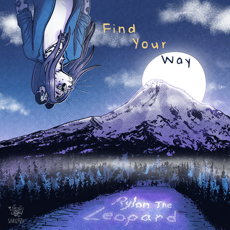Aerial view of a snowy mountain under a full moon, cover for Find Your Way by Rylon the Leopard.