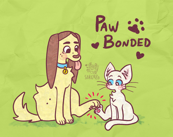 Ravi the dog and Bibi the Cat bump back paws like a fist bump.