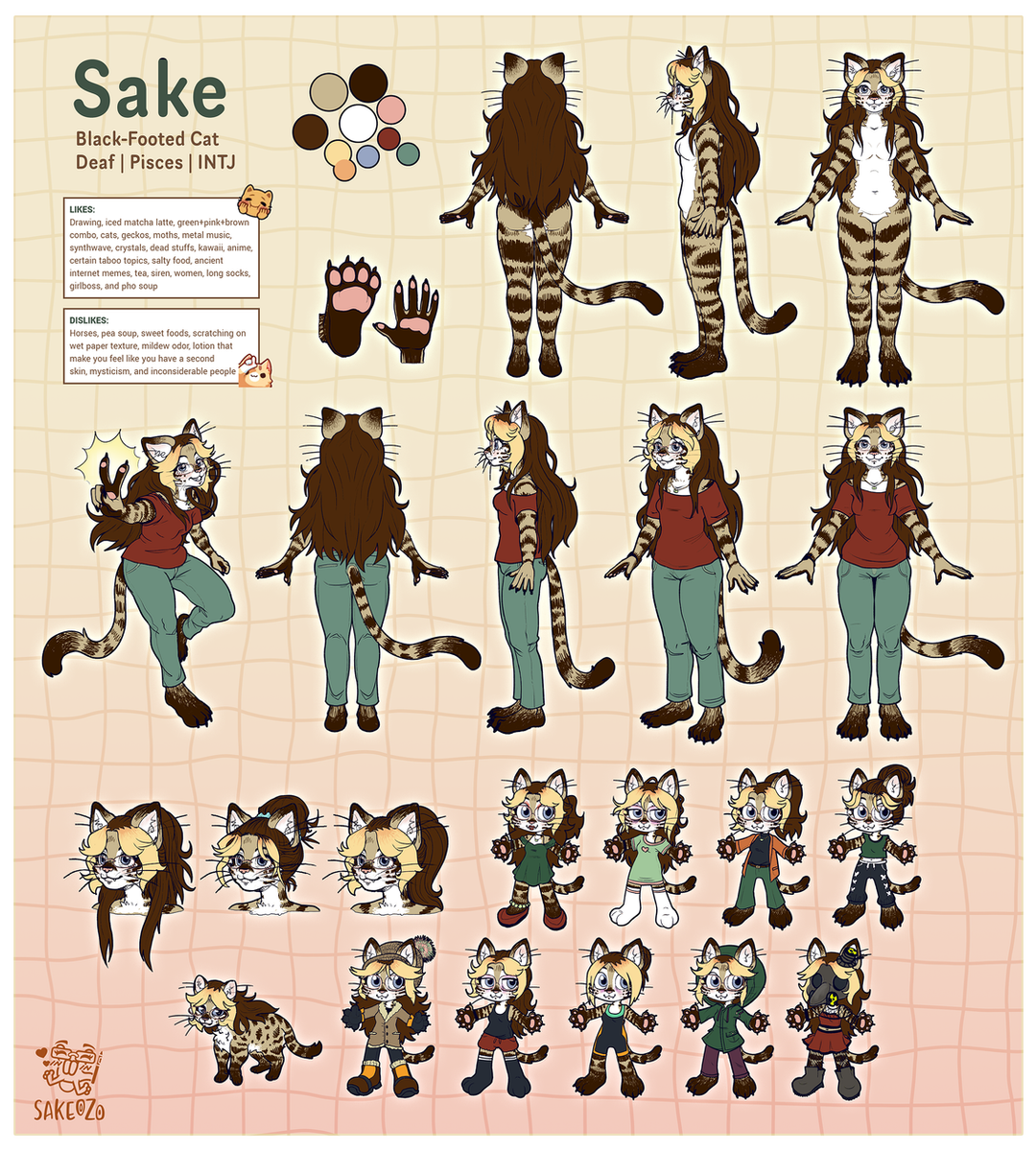 Character reference sheet for "Sake," a striped black-footed cat with long brown hair, shown front, back and side in a red shirt and green pants, plus a color palette, paw details and outfit variations.