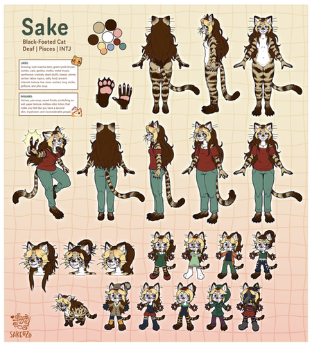 Character reference sheet for "Sake," a striped black-footed cat with long brown hair, shown front, back and side in a red shirt and green pants, plus a color palette, paw details and outfit variations.