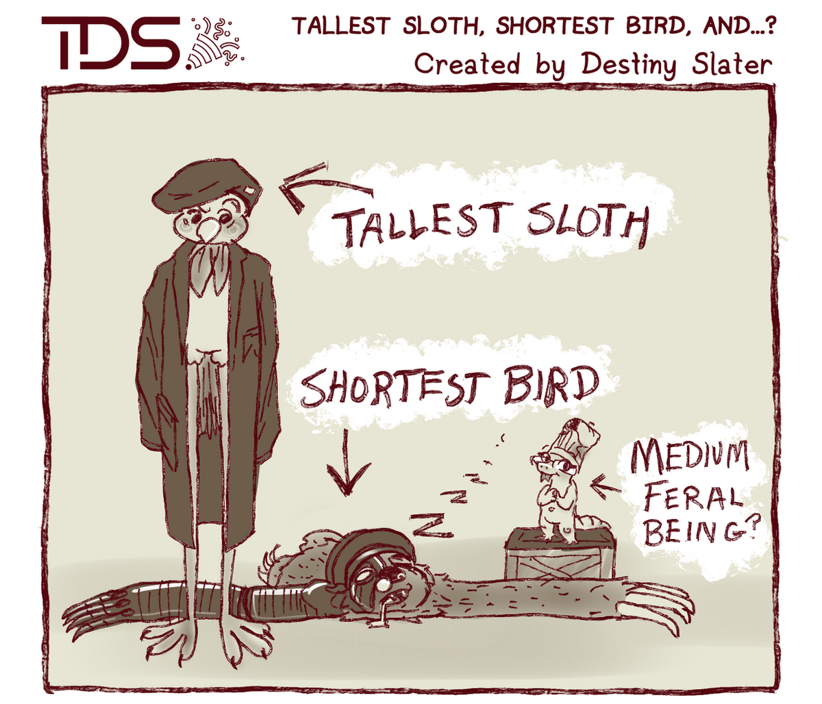 A tall bird is labeled as "Tallest Sloth", a sleeping flattened cybersloth on the floor is labeled as "shortest bird" and then a gecko is standing awkwardly and she's labeled as "medium feral being?"